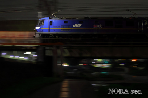 240624-IMG_9220t EF210