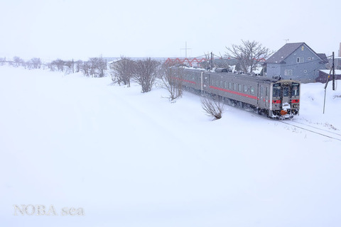 260321-IMG_1336c
