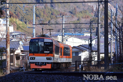 250126-04IMG_3784t