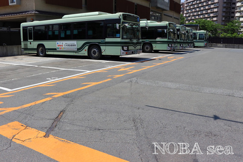 京都市電のレール : 旅々列車たび Blog