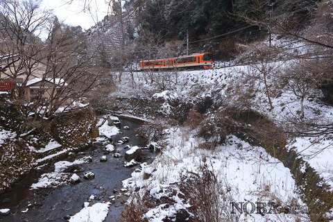 250224-IMG_8582c