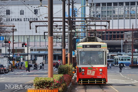 250319-IMG_3631c