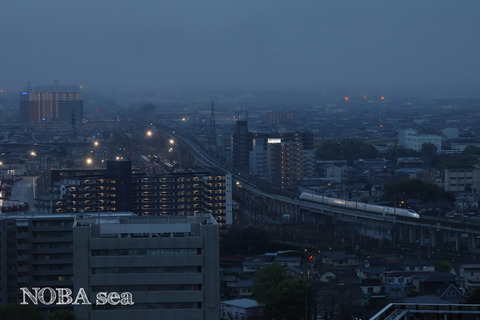 230325-05IMG_6153t