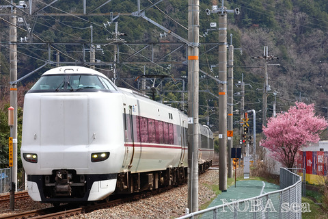 250401-IMG_5712t