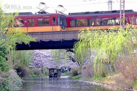 260402--IMG_5039t