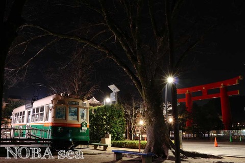 210207-01IMG_6266t