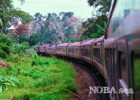 960212-SF8-processed---水-1