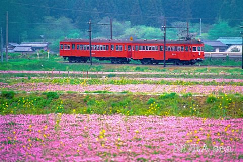 19-950504-OpticFilm8100-260131-(12)