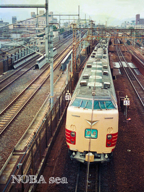 19-870201-SF8-processed---木-4-22-10-12-19-2021