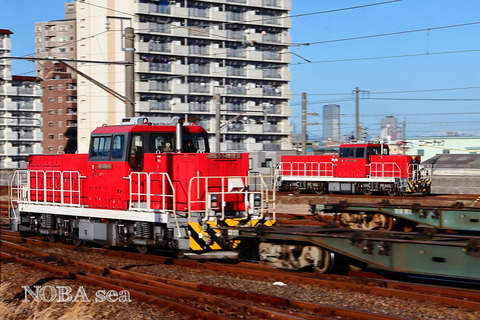 260219-IMG_1562t　HD200