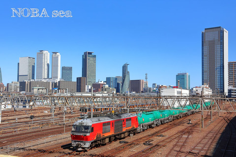 260219-IMG_1195t-DF200