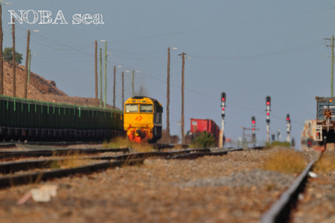 220309-IMG_7895t