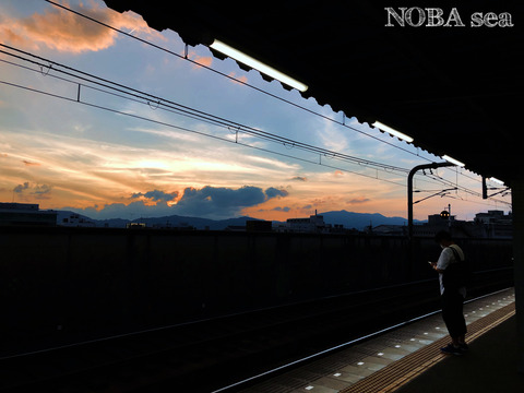 200731-01iphoneIMG_E5907cbl