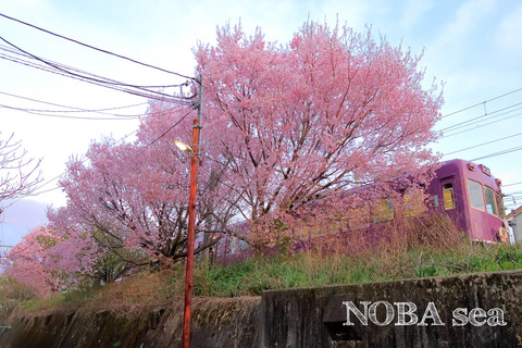 240409-IMG_3189t-復元