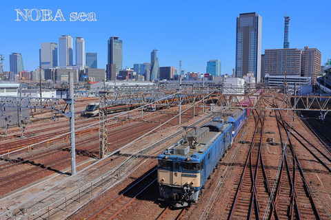 260219-IMG_1124c-EF64