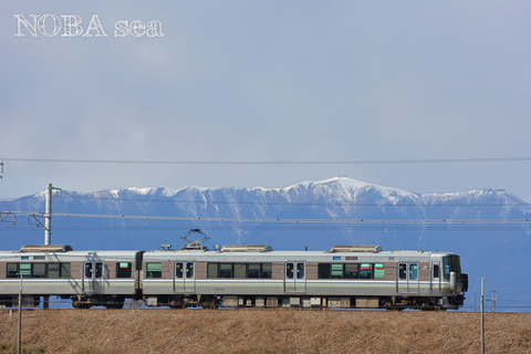250205-11IMG_3974t