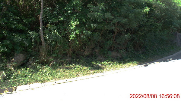 DSC02952_1