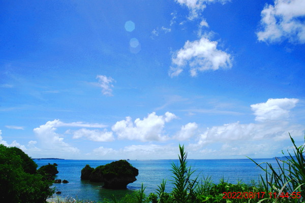 DSC02953_1