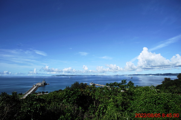 DSC02943_1
