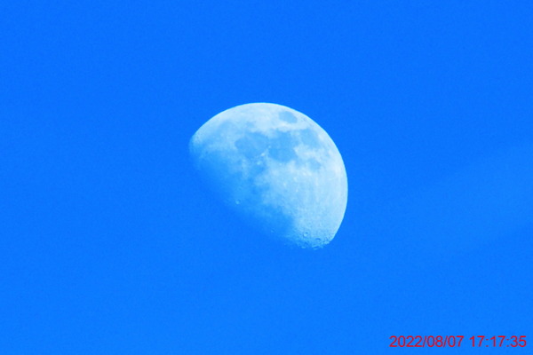 P8070025_1