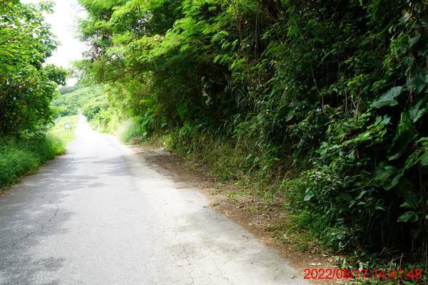 DSC03354_1
