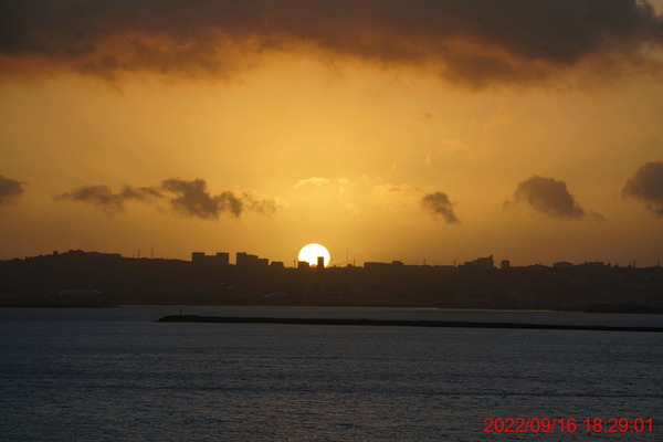 DSC03393_1