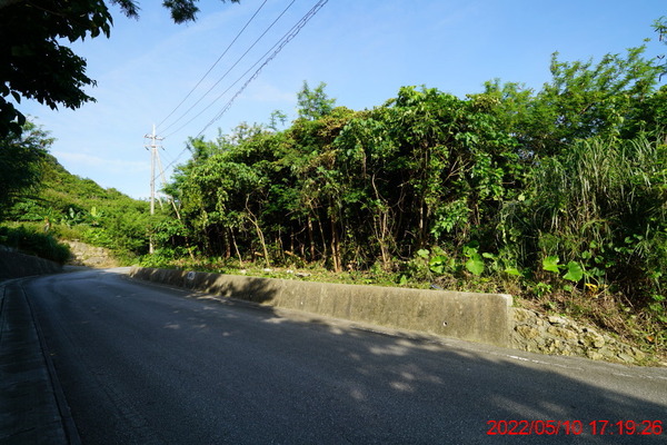 DSC03106_1