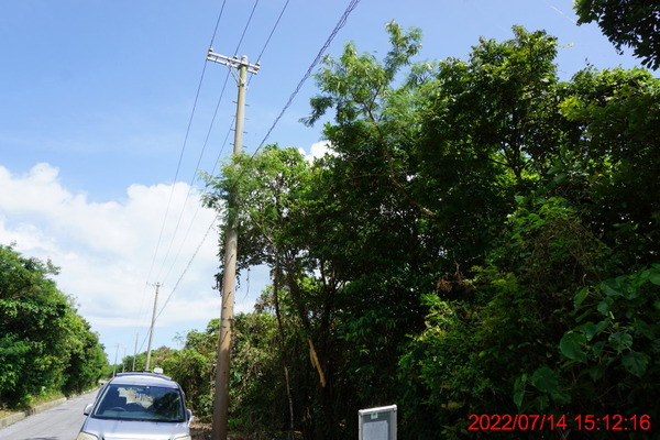 DSC00733_1