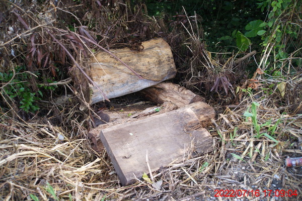 DSC02913_1