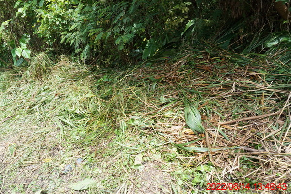 DSC00588_1