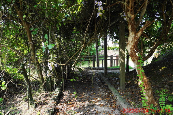 DSC00786_1