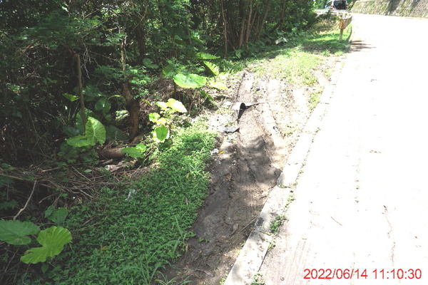 DSC00586_1