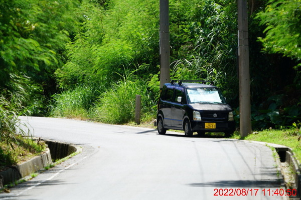 DSC03347_1