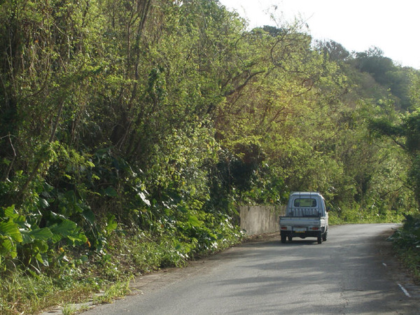 DSC00032x_1_1