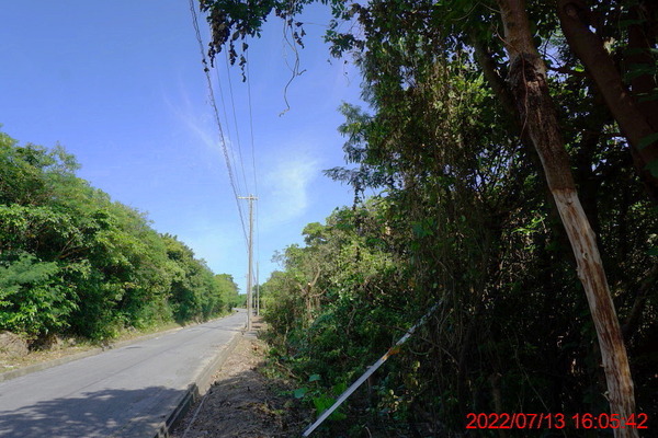DSC00728_1_1