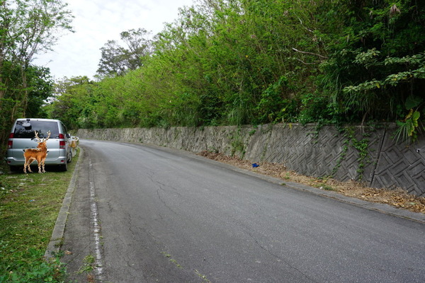 DSC00287_1