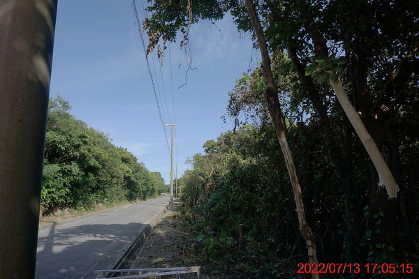 DSC00729_1