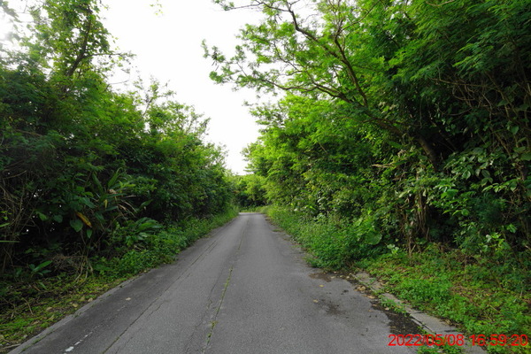 DSC03100_1