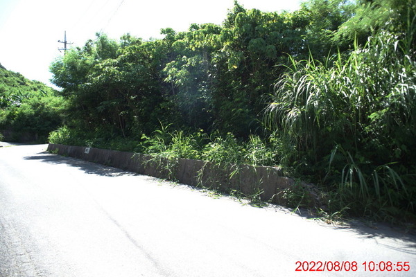 DSC02945_1