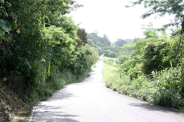 DSC00497a_1