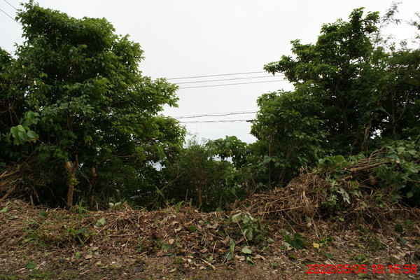 DSC02799_1