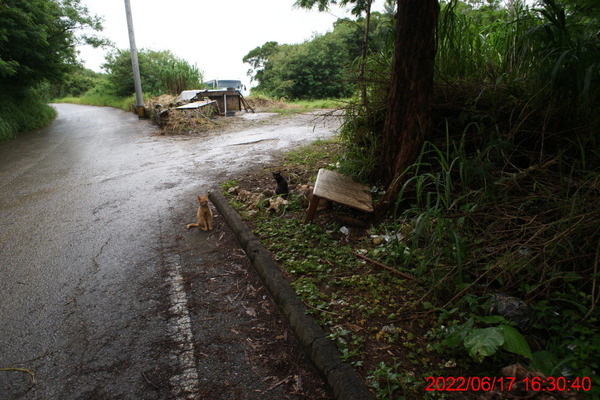 DSC02893_1