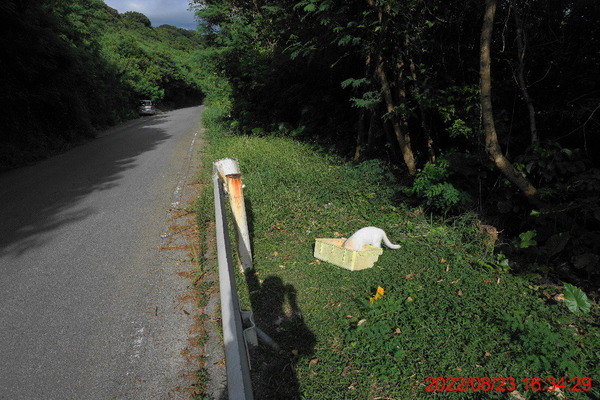 DSC00901