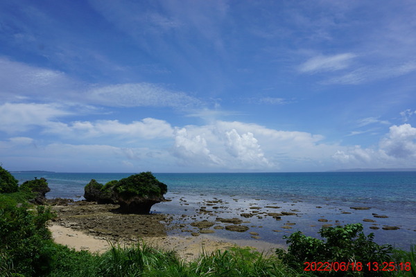 DSC00598_1