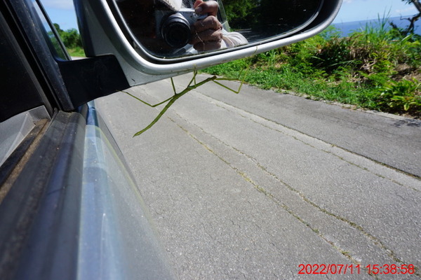 DSC00708_1