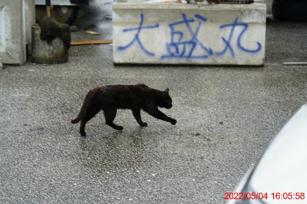 DSC03066_1