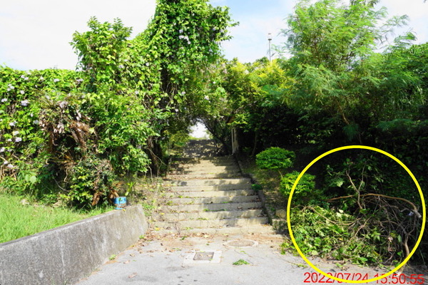 DSC00785_1