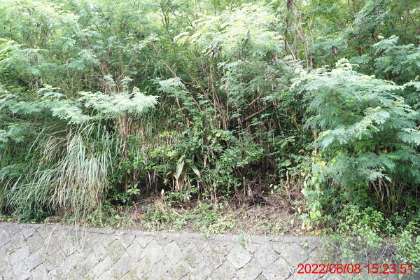 DSC00547