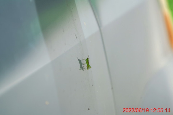 DSC03218_1