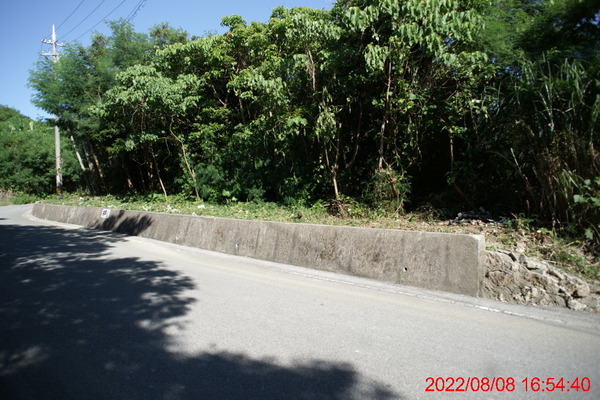 DSC02949_1